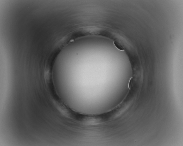X0000114430597200910161337