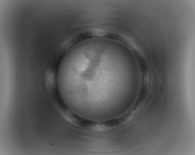 X0000114430598200910161337