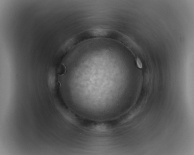 X0000114430600200910161336