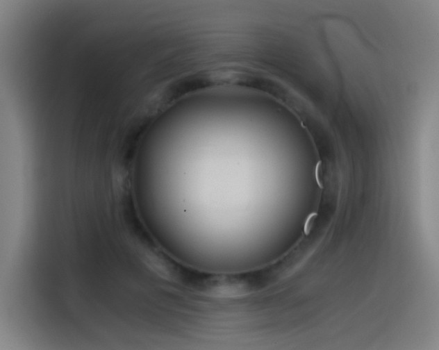 X0000114430601200910161336