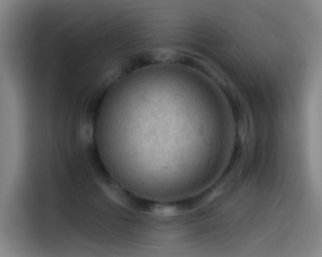 X0000114430602200910161336