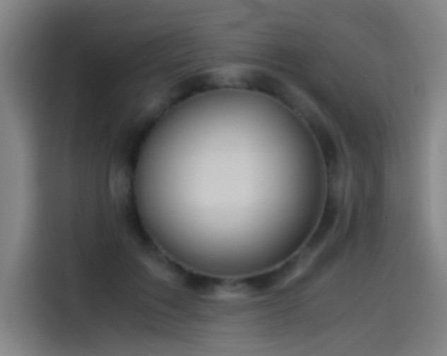 X0000114430603200910161336