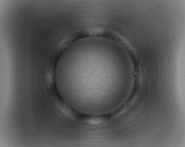 X0000114430604200910161336