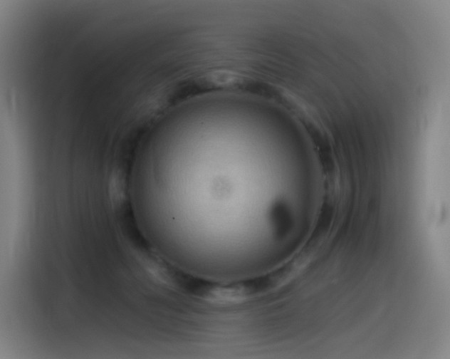 X0000114430606200910161336