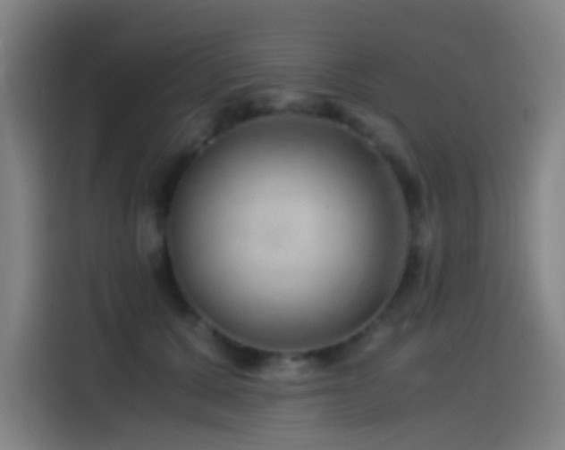 X0000114430607200910161336