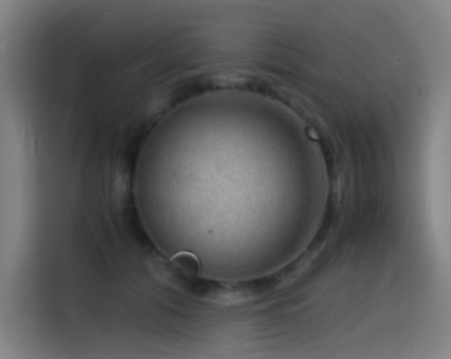 X0000114430608200910161336