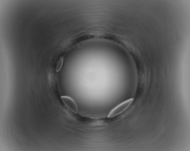 X0000114430609200910161336