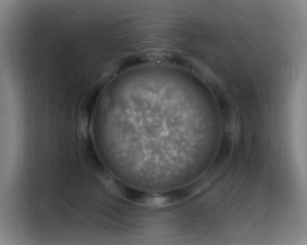 X0000114430610200910161336