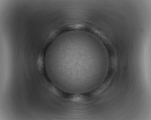 X0000114430612200910161336