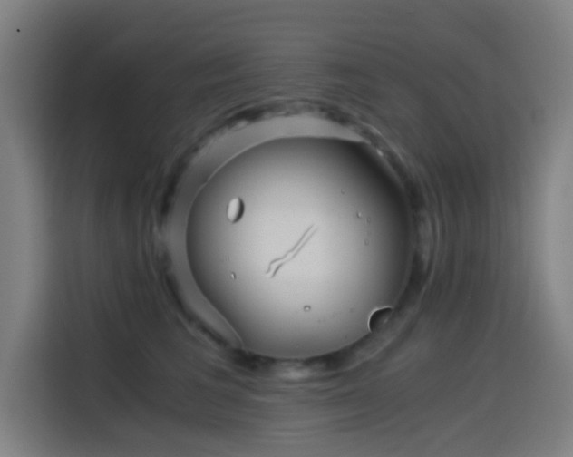 X0000114430613200910161336