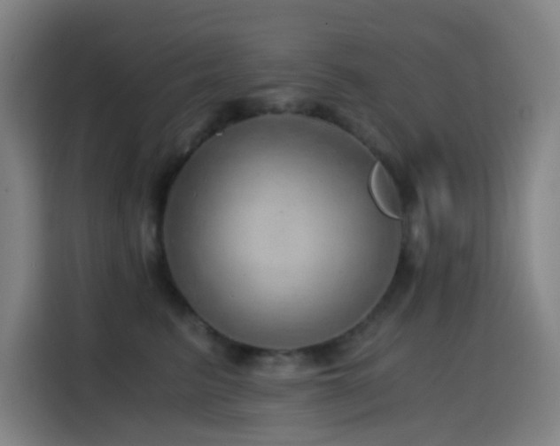X0000114430615200910161336