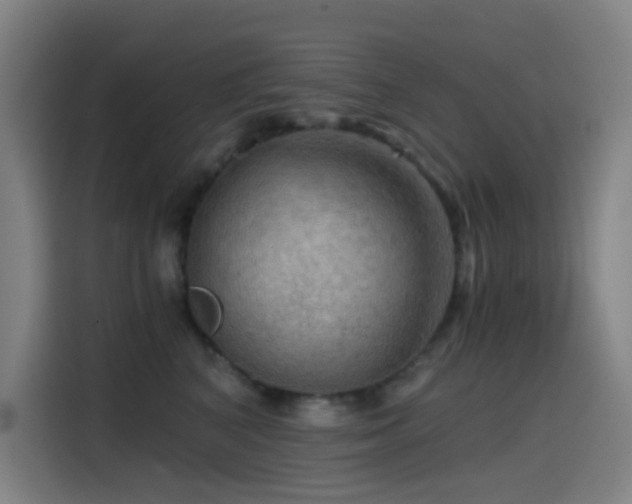 X0000114430616200910161336