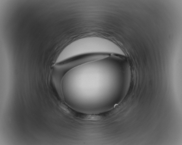 X0000114430617200910161336