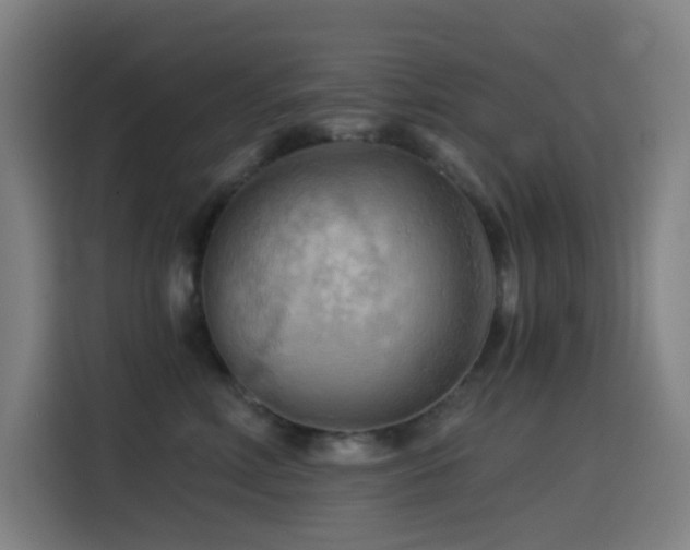 X0000114430618200910161336