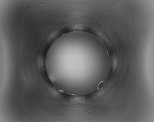 X0000114430619200910161336