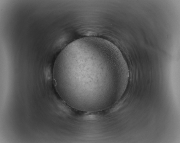 X0000114430620200910161336