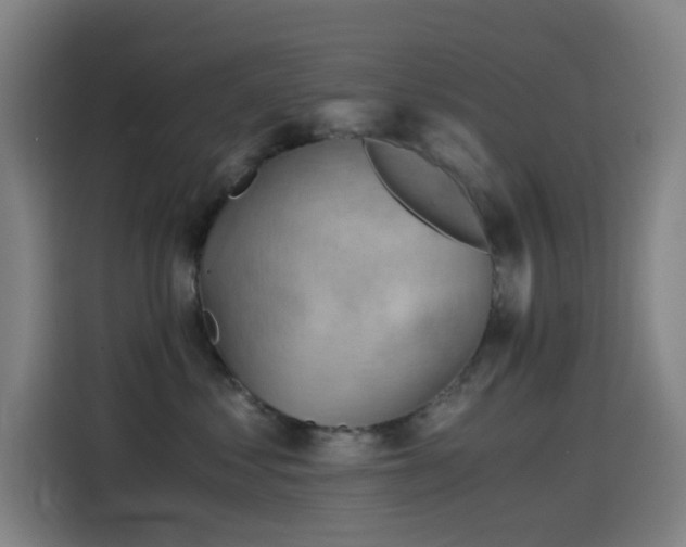 X0000114430621200910161336