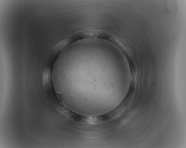 X0000114430623200910161336