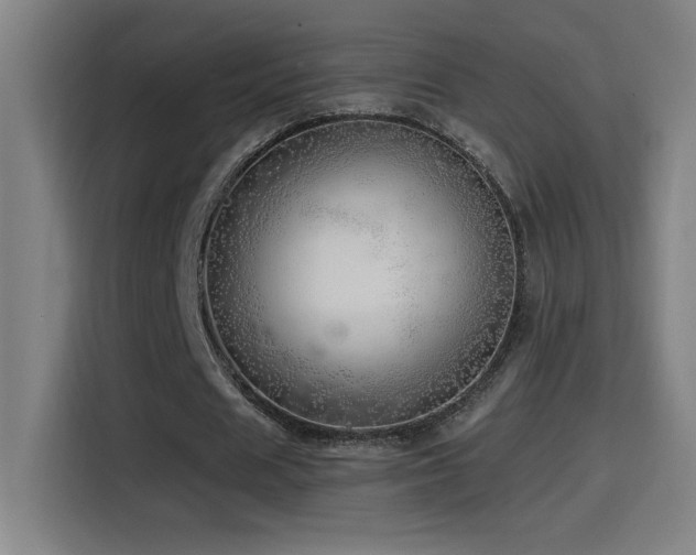 X0000114430625200910161336