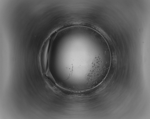 X0000114430626200910161336