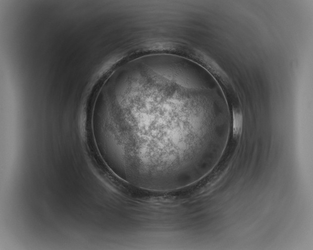 X0000114430627200910161336