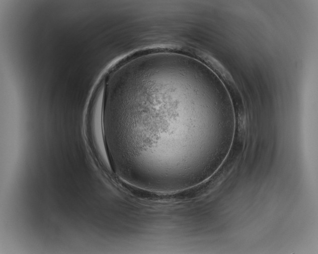 X0000114430628200910161336