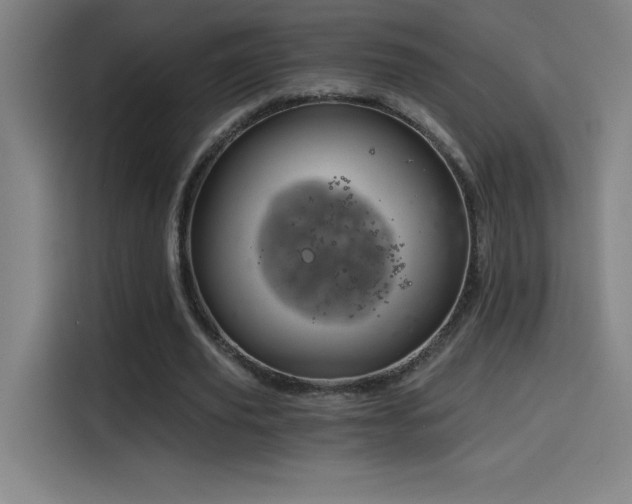 X0000114430629200910161336
