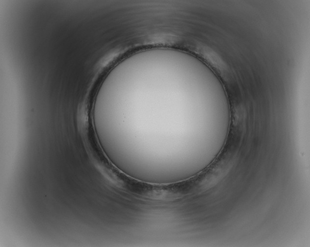 X0000114430632200910161336