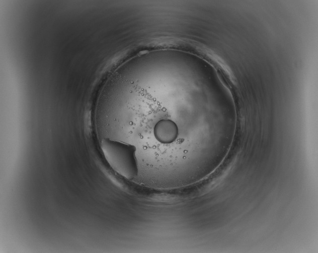 X0000114430633200910161336