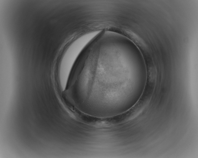 X0000114430634200910161336