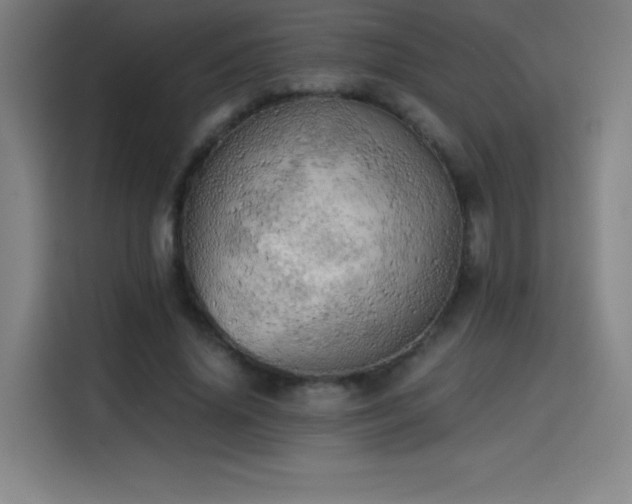 X0000114430636200910161336