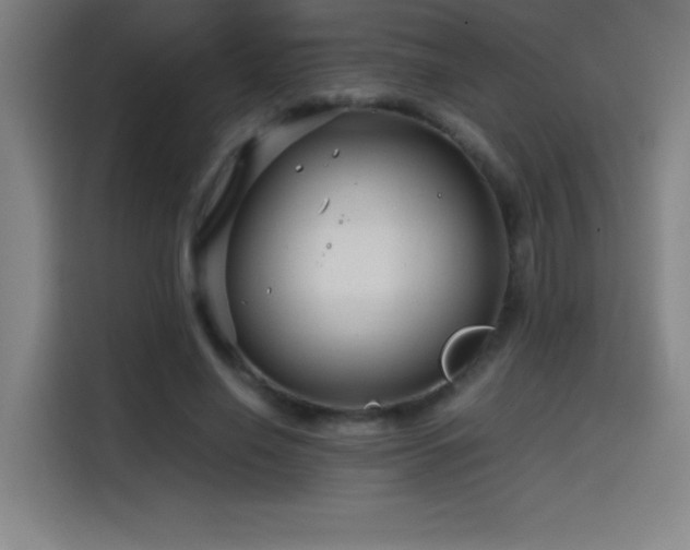 X0000114430638200910161336