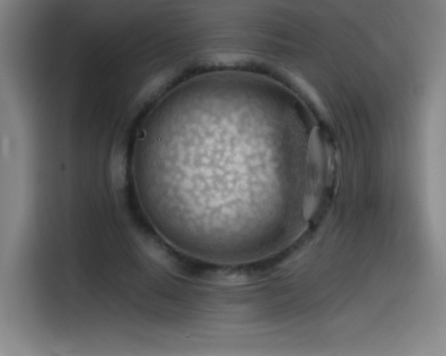 X0000114430640200910161336
