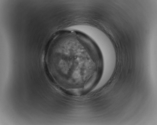 X0000114430641200910161336