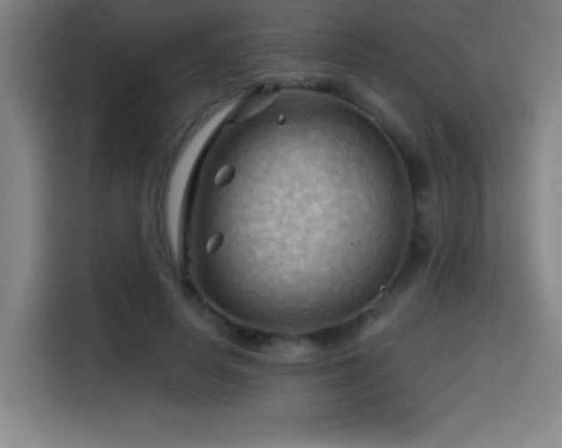 X0000114430642200910161336