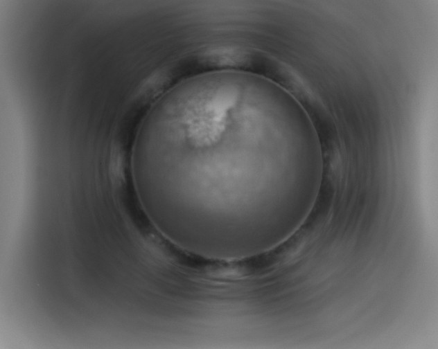 X0000114430643200910161336