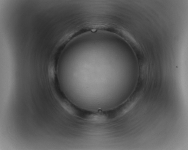 X0000114430644200910161336