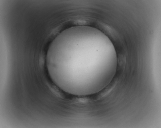 X0000114430645200910161336