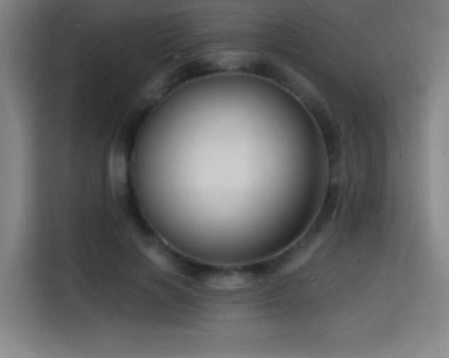 X0000114430646200910161336