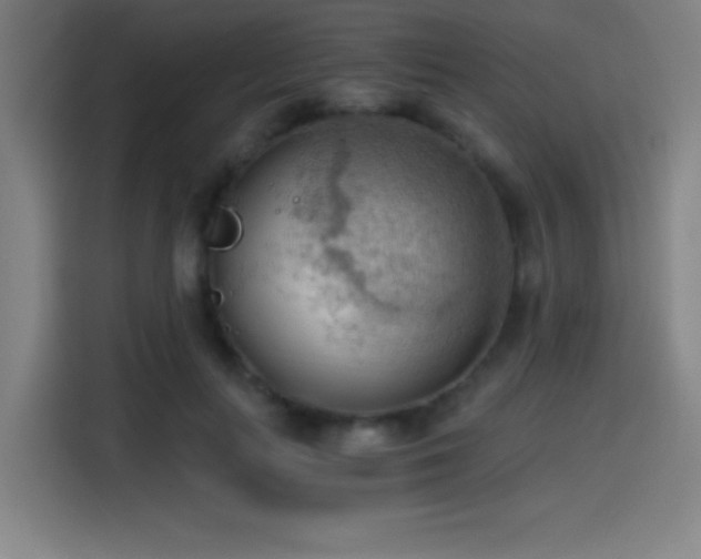 X0000114430647200910161336