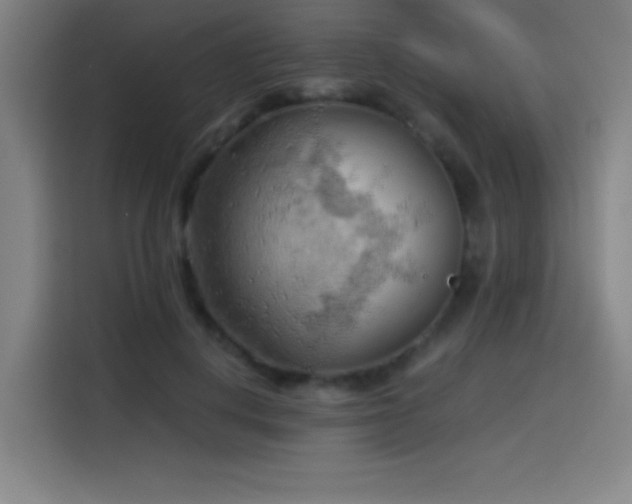 X0000114430648200910161336