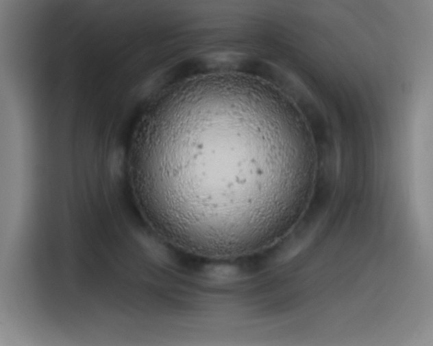 X0000114430649200910161336