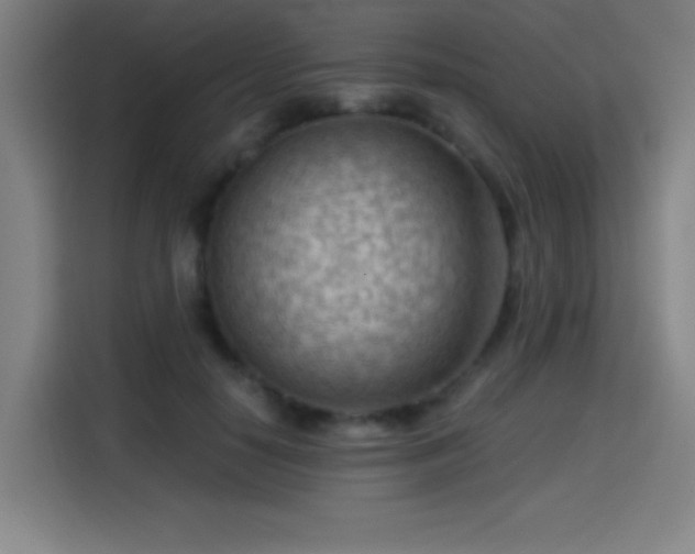 X0000114430650200910161336