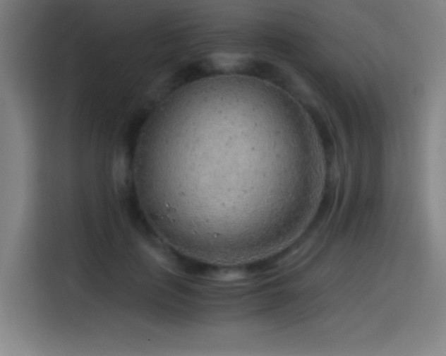X0000114430651200910161336
