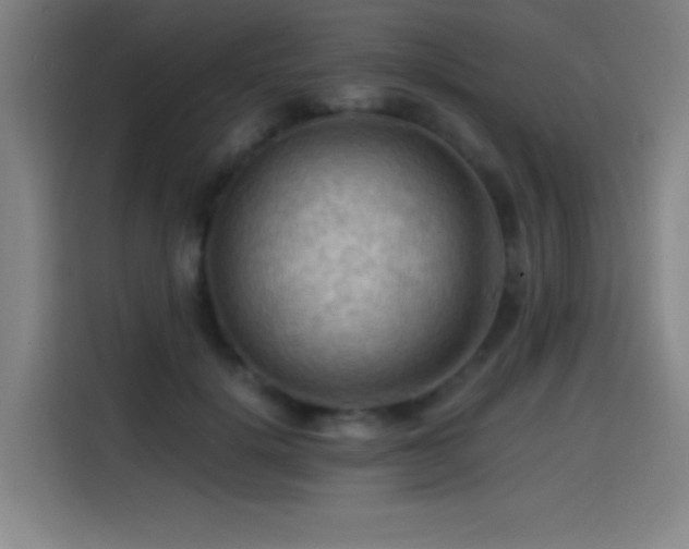 X0000114430652200910161336