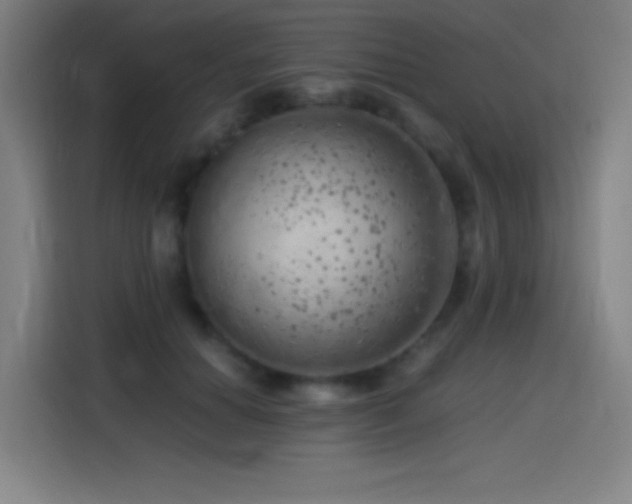 X0000114430654200910161336