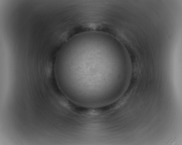 X0000114430656200910161336