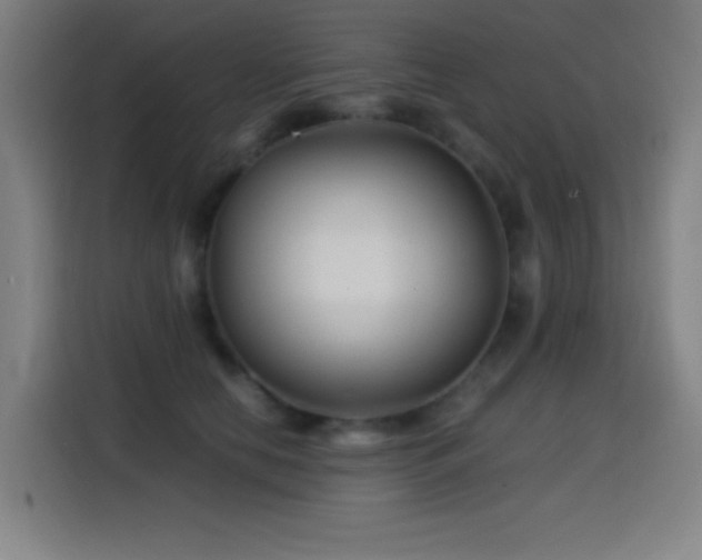 X0000114430658200910161336