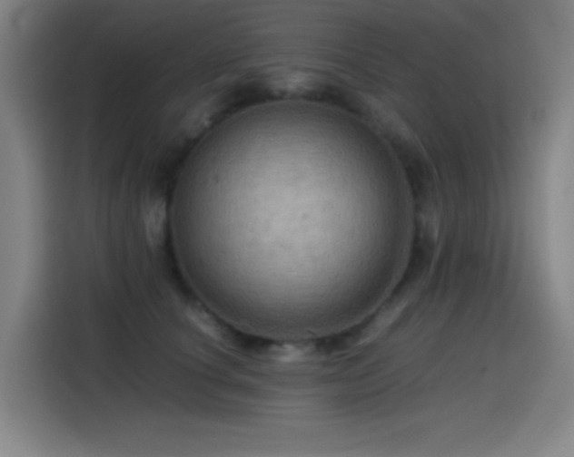 X0000114430660200910161336