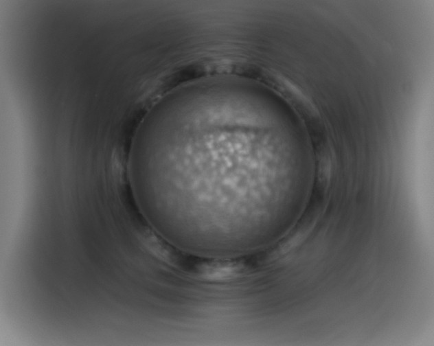X0000114430661200910161336